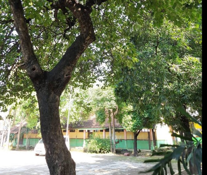 PENATAAN SARANA OLAHRAGA SEKOLAH DI SDN TRIDAYA SAKTI 04 TAMBUN SELATAN                            