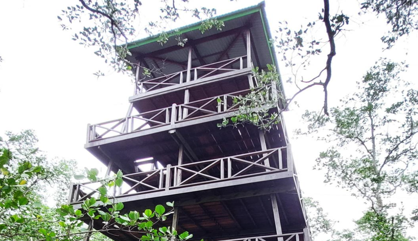 Pembangunan Menara Pantau di Desa Pantai Bahagia Kecamatan Muara Gembong 