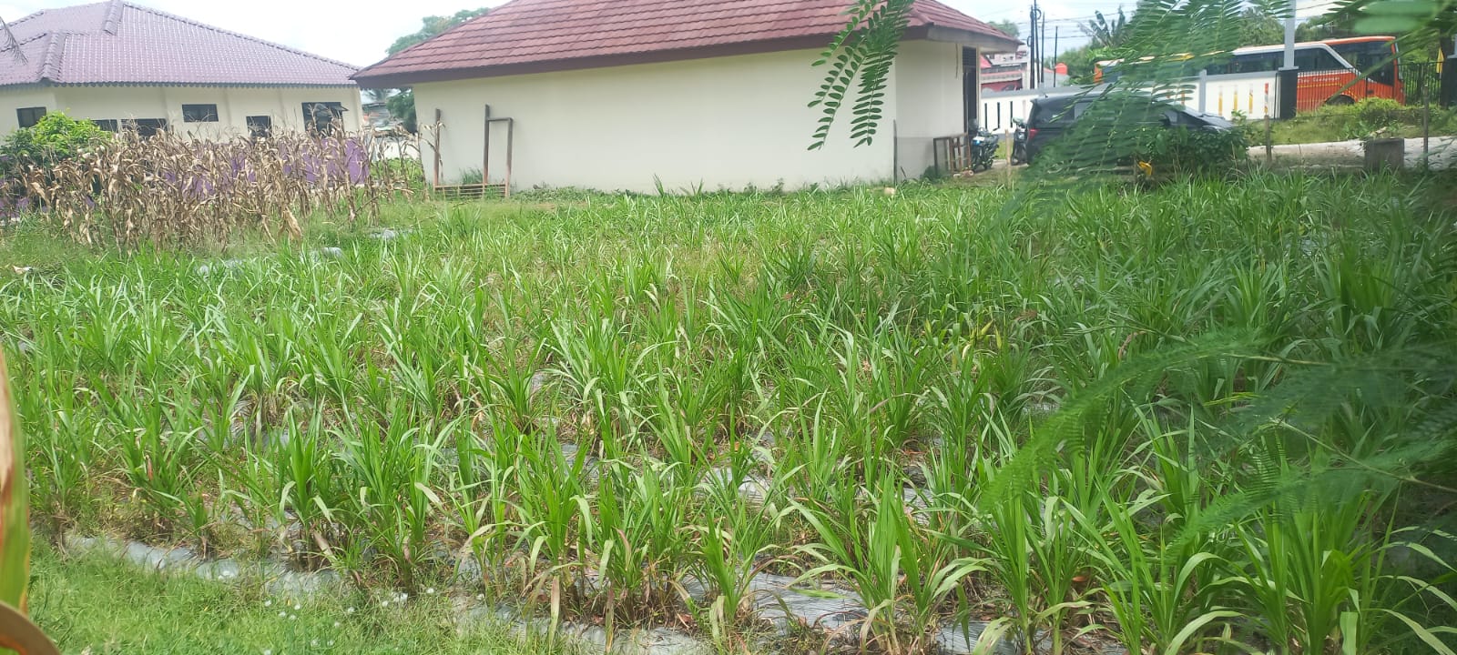 Foto Proyek