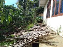 Foto Proyek