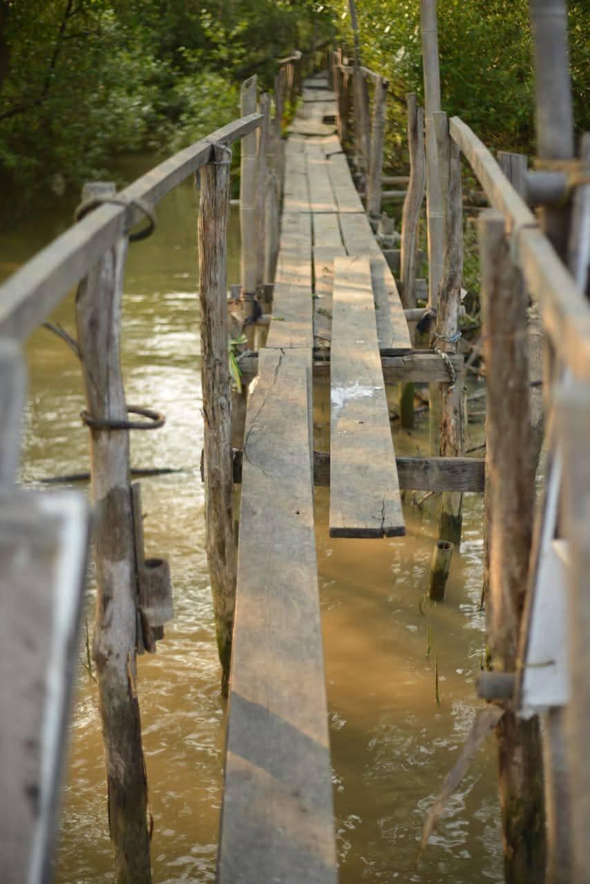 Pembangunan Track Mangrove di Desa Segarajaya Kecamatan Tarumajaya 
