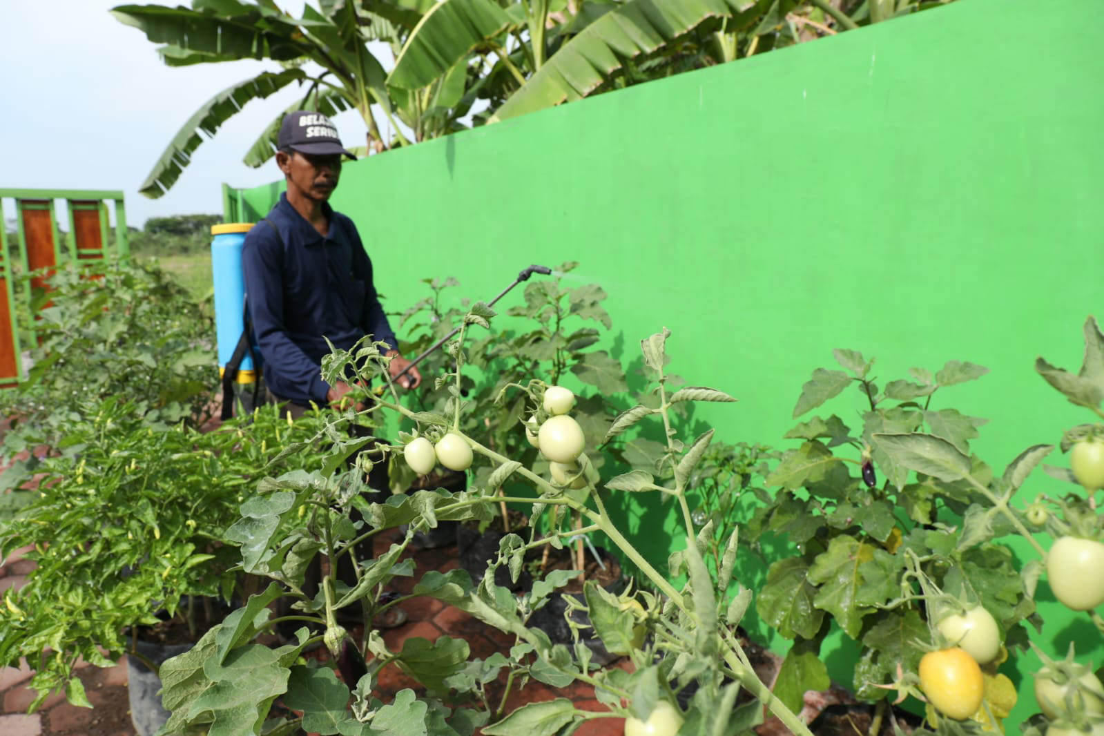 Program Ketahanan Pangan, UMKM, dan Tanggap Kebencanaan di Desa Wanajaya Kecamatan Cibitung