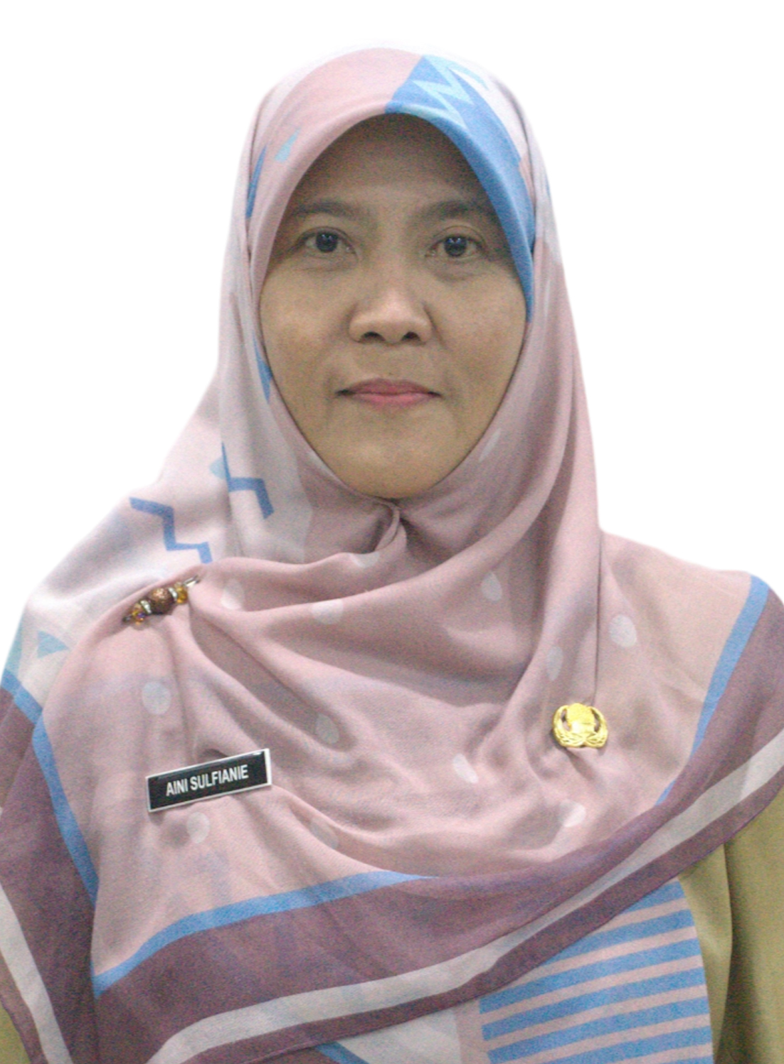 AINI SULFIANIE